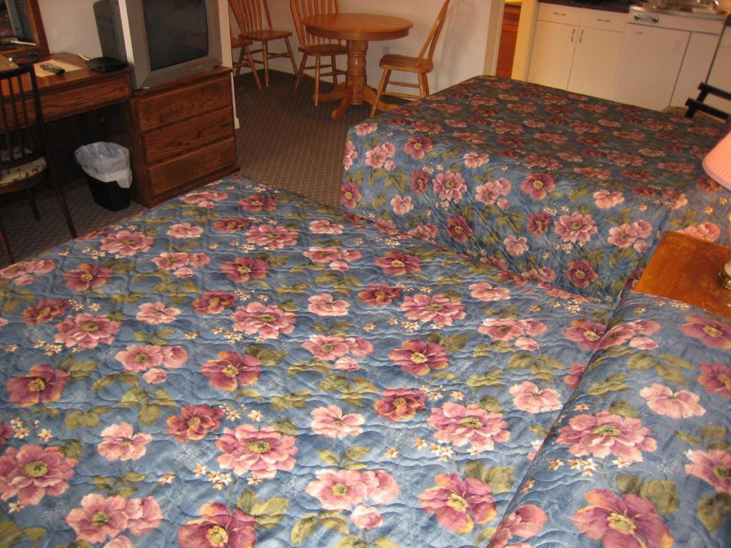 Best Continental Motel 호프 객실 사진
